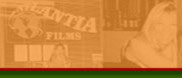 Narrowsburg International Independent Film Festival